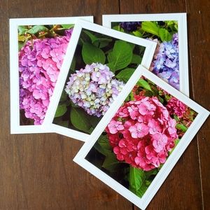 Blank Hydrangea Photo Cards